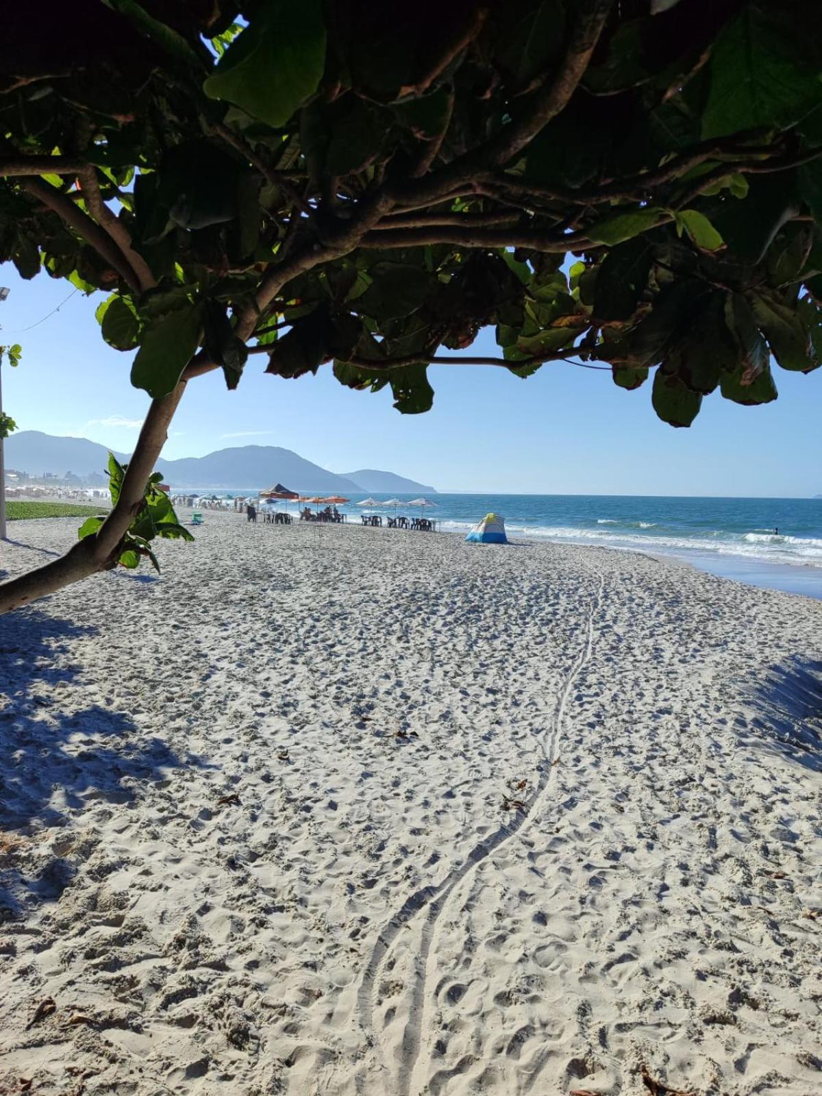 Apartamento De 2 Dormitorios Florianópolis Dış mekan fotoğraf
